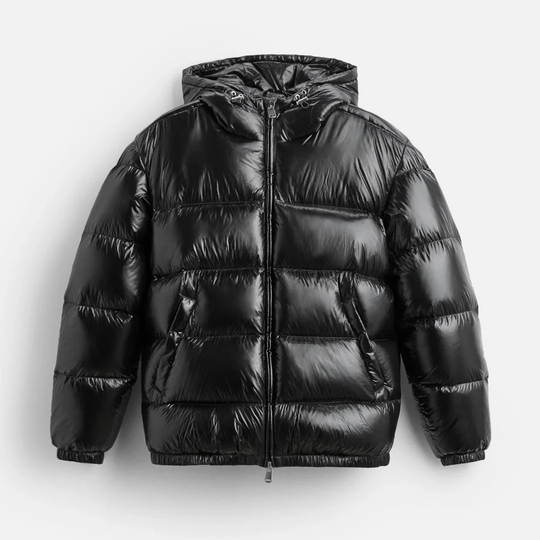 Louis | Men’s Modern Shiny Hooded Puffer Jacket 0
