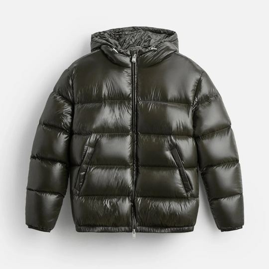 Louis | Men’s Modern Shiny Hooded Puffer Jacket 2